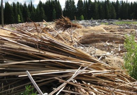 �������� ����, ���������