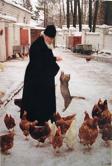 ��������, �������, �����