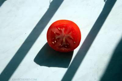 �����������. ���� �. ��������