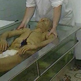 ������� �������� �����