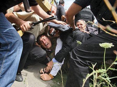 ����: ������� ���������, ����������. ������ 2008