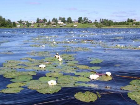 Ферапонтво Паска